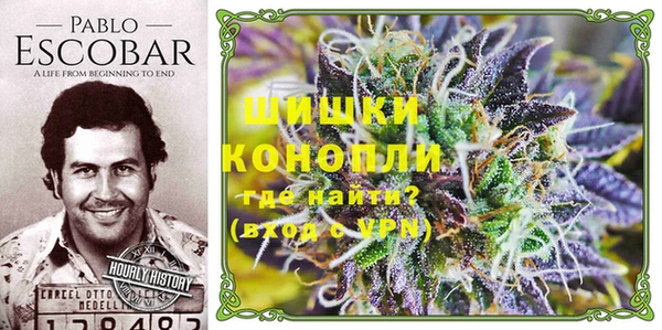 apvp Белокуриха
