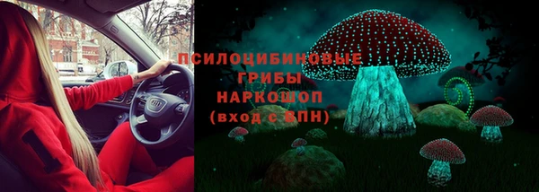 apvp Белокуриха